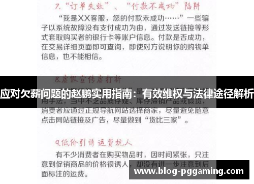 应对欠薪问题的赵鹏实用指南：有效维权与法律途径解析