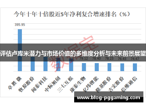 评估卢库米潜力与市场价值的多维度分析与未来前景展望