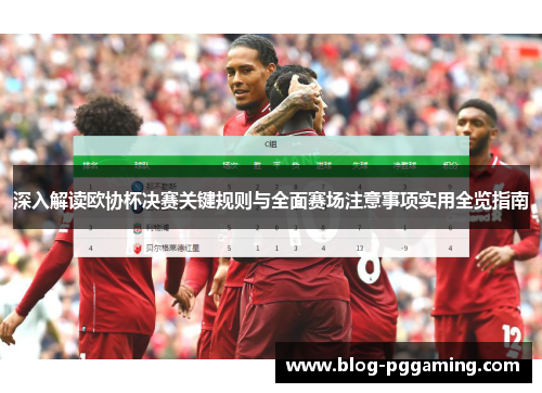 深入解读欧协杯决赛关键规则与全面赛场注意事项实用全览指南 深入解读欧协杯决赛关键规则与全面赛场注意事项实用全览指南