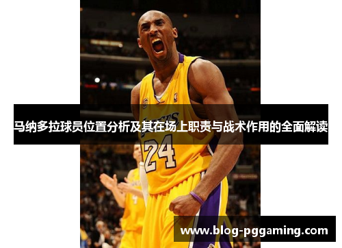 马纳多拉球员位置分析及其在场上职责与战术作用的全面解读