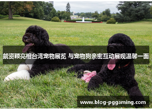 戴资颖亮相台湾宠物展览 与宠物狗亲密互动展现温馨一面