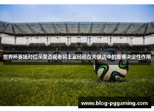 世界杯赛场对位深度透视老将丰富经验在关键战中的重要决定性作用
